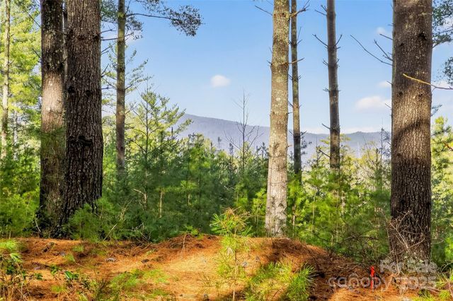 365 Peninsula Reserve Road 25, Nebo, NC 28761