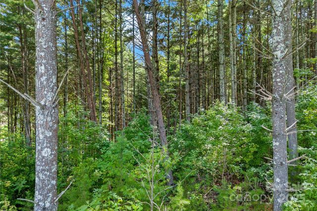 365 Peninsula Reserve Road 25, Nebo, NC 28761