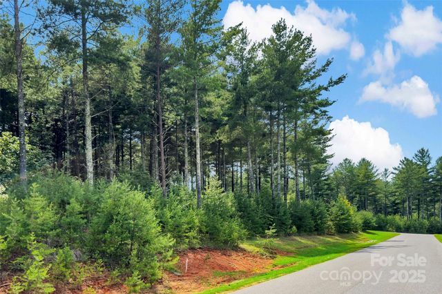 365 Peninsula Reserve Road 25, Nebo, NC 28761