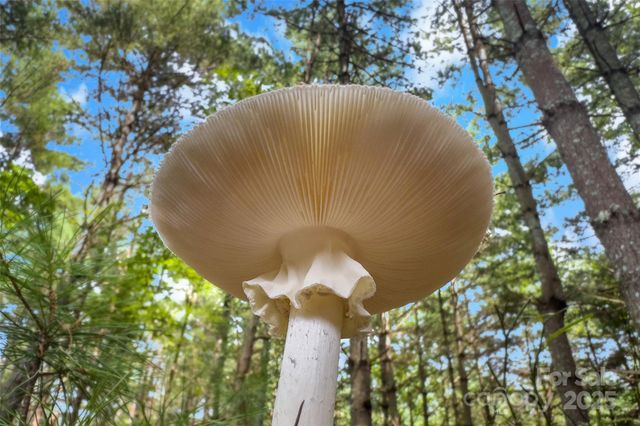 365 Peninsula Reserve Road 25, Nebo, NC 28761