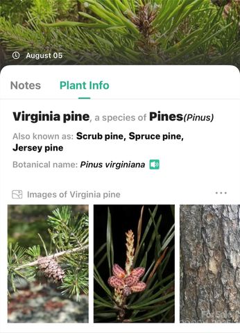 365 Peninsula Reserve Road 25, Nebo, NC 28761