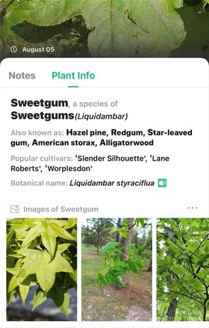 365 Peninsula Reserve Road 25, Nebo, NC 28761