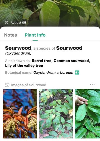 365 Peninsula Reserve Road 25, Nebo, NC 28761