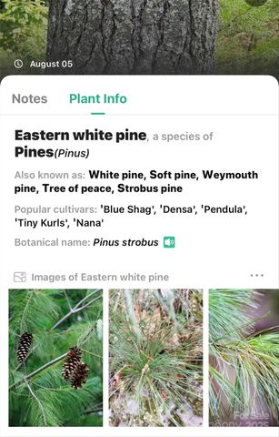 365 Peninsula Reserve Road 25, Nebo, NC 28761