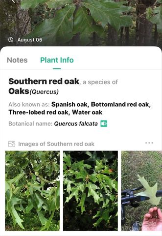 365 Peninsula Reserve Road 25, Nebo, NC 28761