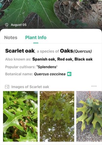 365 Peninsula Reserve Road 25, Nebo, NC 28761