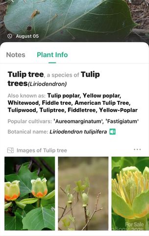 365 Peninsula Reserve Road 25, Nebo, NC 28761