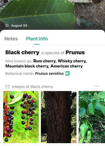 365 Peninsula Reserve Road 25, Nebo, NC 28761