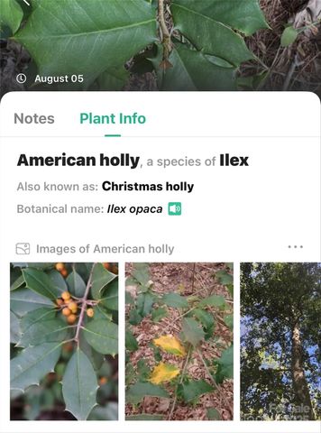 365 Peninsula Reserve Road 25, Nebo, NC 28761