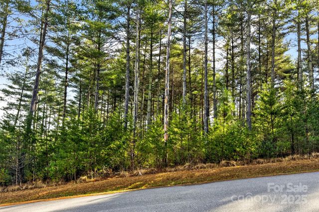 365 Peninsula Reserve Road 25, Nebo, NC 28761