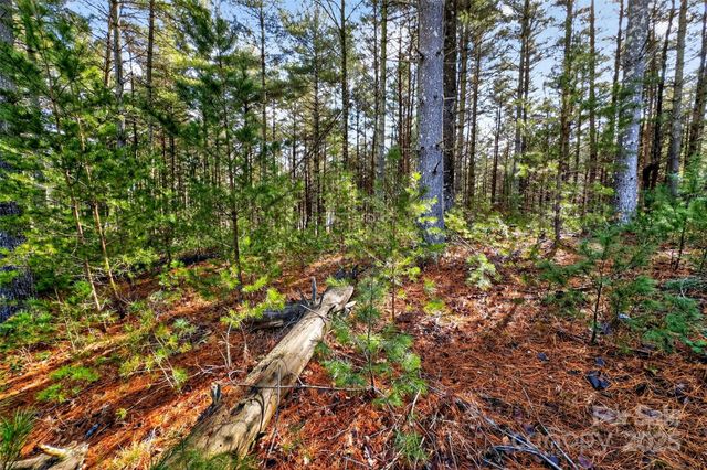 365 Peninsula Reserve Road 25, Nebo, NC 28761