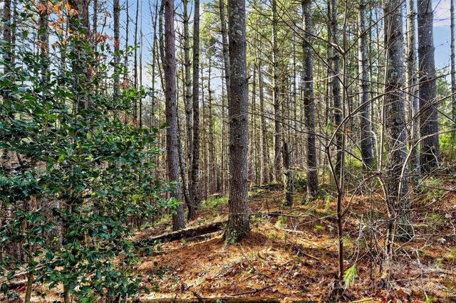 365 Peninsula Reserve Road 25, Nebo, NC 28761