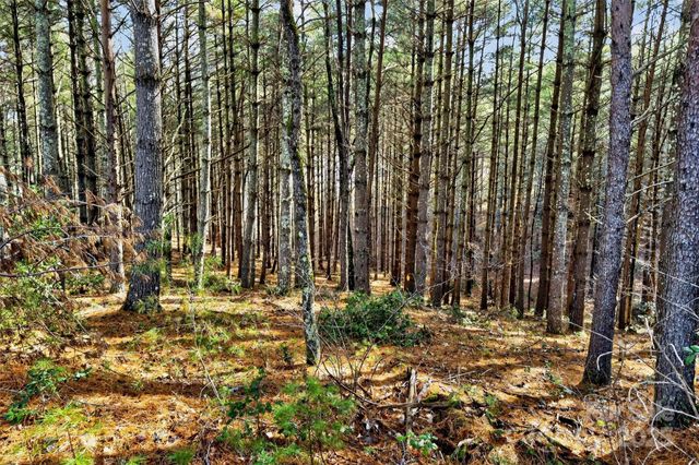 365 Peninsula Reserve Road 25, Nebo, NC 28761