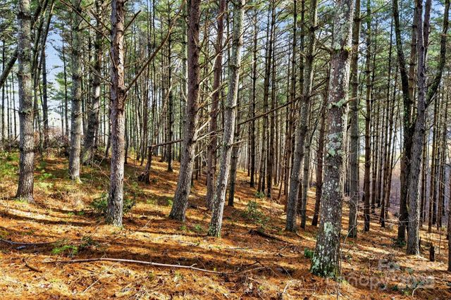 365 Peninsula Reserve Road 25, Nebo, NC 28761