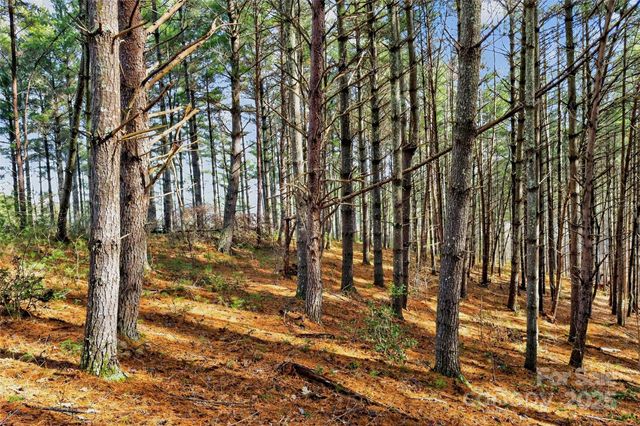 365 Peninsula Reserve Road 25, Nebo, NC 28761