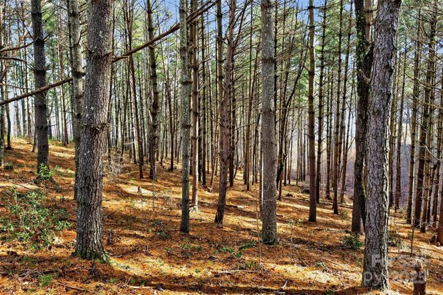 365 Peninsula Reserve Road 25, Nebo, NC 28761