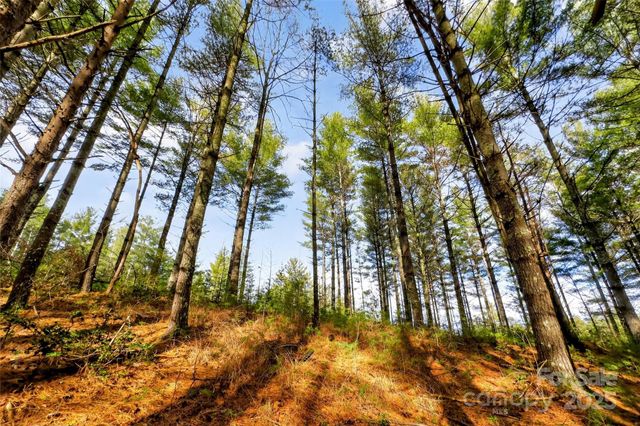 365 Peninsula Reserve Road 25, Nebo, NC 28761