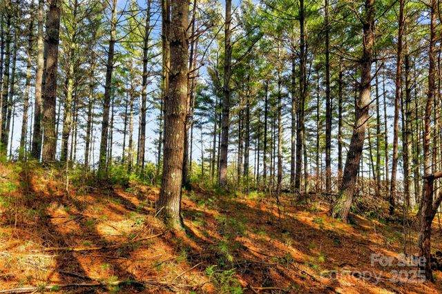 365 Peninsula Reserve Road 25, Nebo, NC 28761