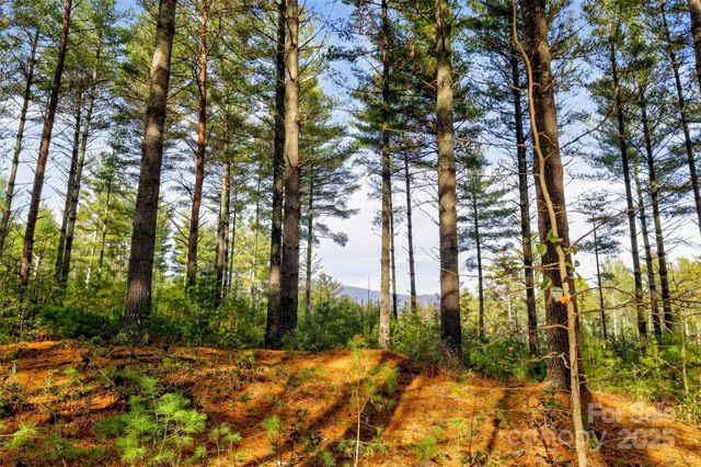 365 Peninsula Reserve Road 25, Nebo, NC 28761