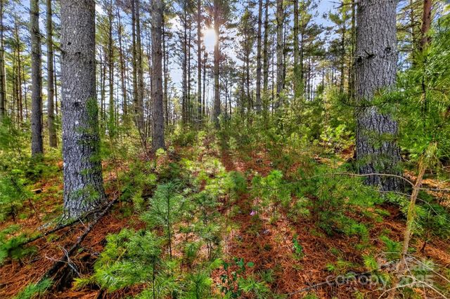 365 Peninsula Reserve Road 25, Nebo, NC 28761