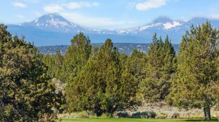 65610 Ghost Tree Court #317, Bend, OR 97701