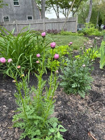 16 Hazelwood Road, South Dennis, MA 02660