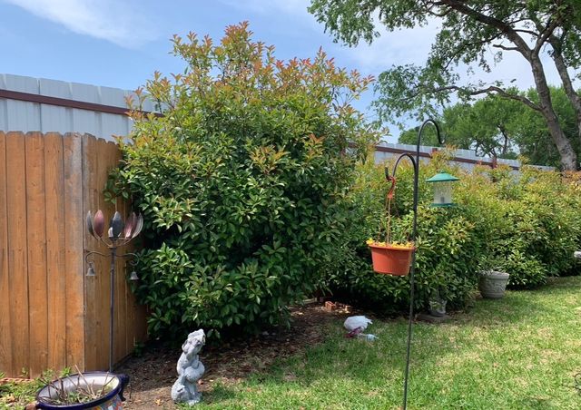 15721 Wheelhorse Trail, Fort Worth, TX 76262