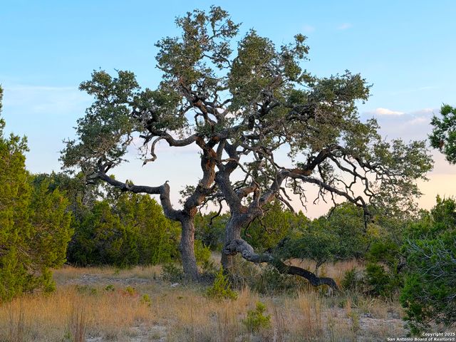 100 ACRES N Cranes Mill Road, Canyon Lake, TX 78133