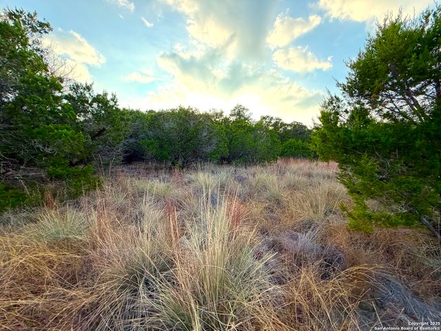 100 ACRES N Cranes Mill Road, Canyon Lake, TX 78133
