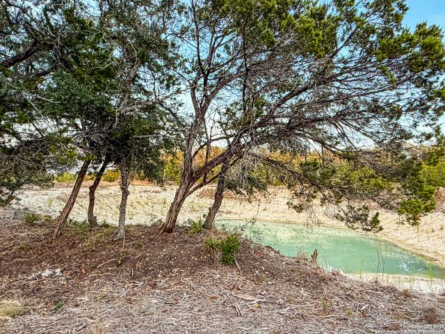 100 ACRES N Cranes Mill Road, Canyon Lake, TX 78133