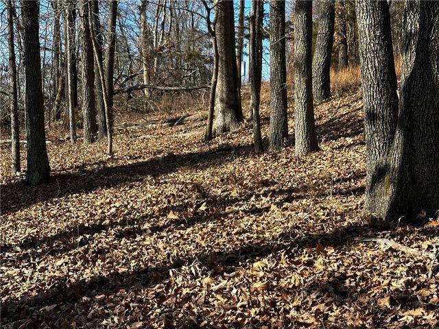 Lot 68 Horseshoe Lane, Rogers, AR 72756