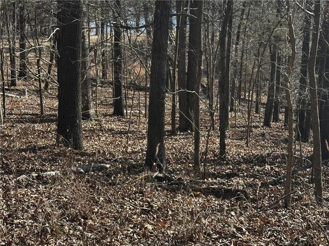 Lot 68 Horseshoe Lane, Rogers, AR 72756