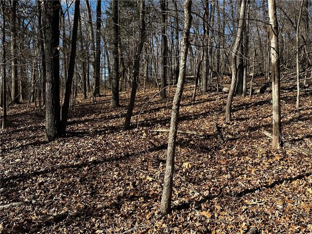 Lot 68 Horseshoe Lane, Rogers, AR 72756