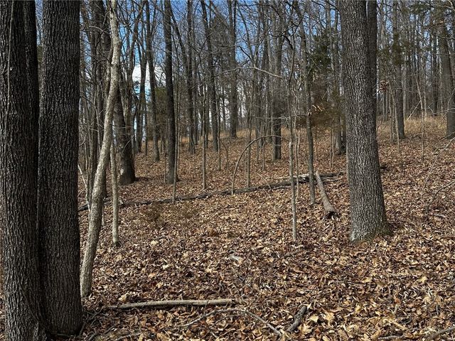 Lot 68 Horseshoe Lane, Rogers, AR 72756