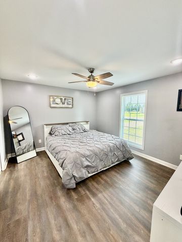 42 Delaney Ct, Leoma, TN 38468