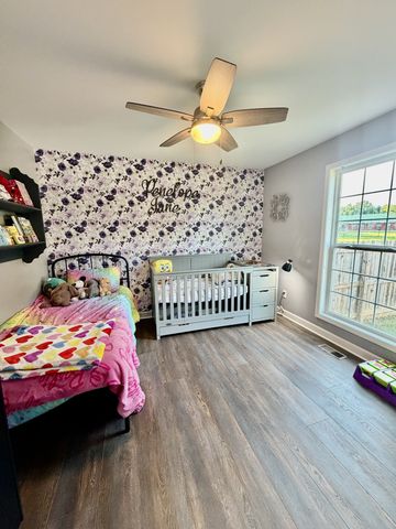 42 Delaney Ct, Leoma, TN 38468