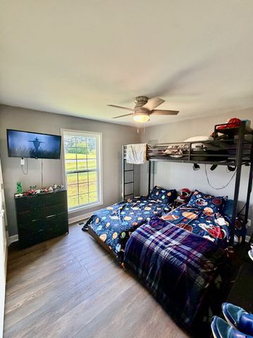 42 Delaney Ct, Leoma, TN 38468