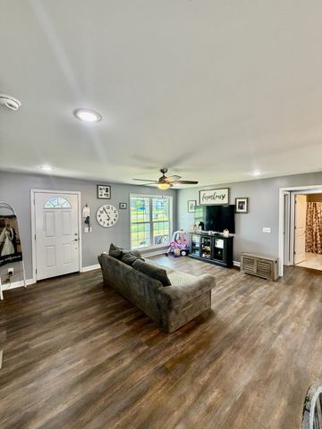 42 Delaney Ct, Leoma, TN 38468