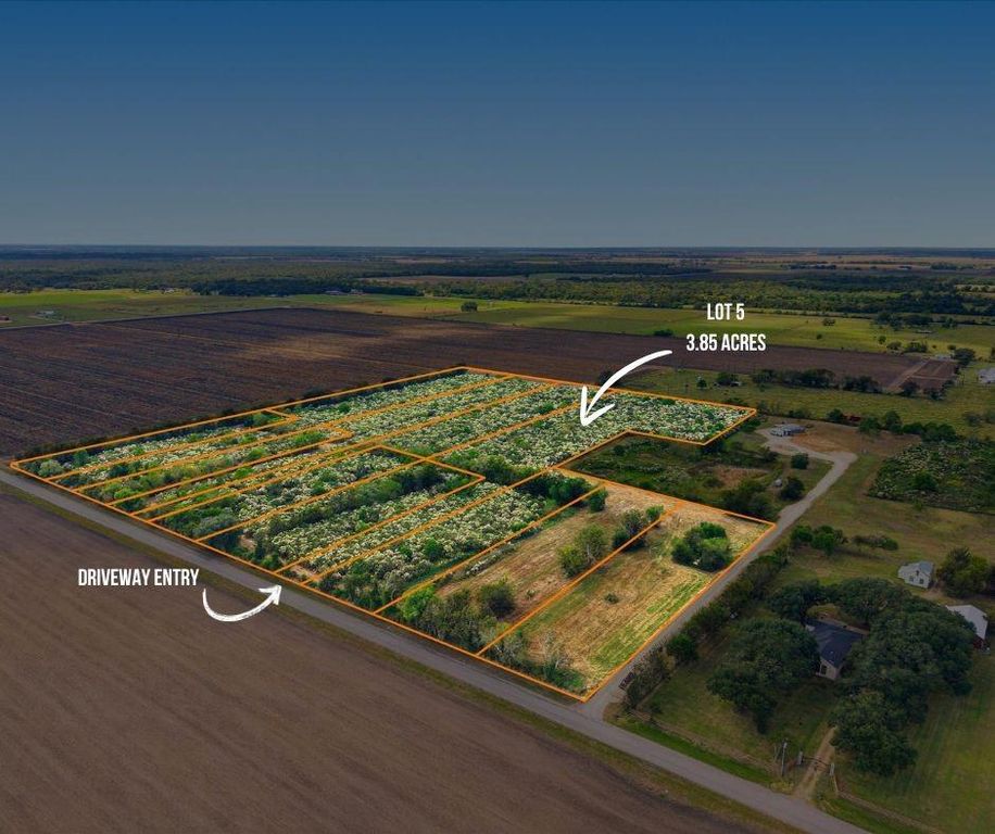 Lot 5 Cow Creek Road, Damon, TX 77430