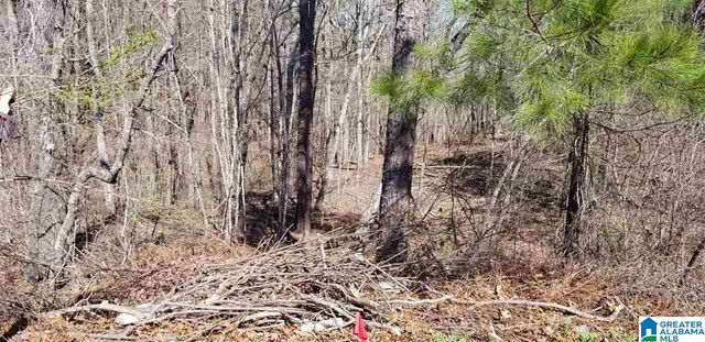 MORNINGVIEW COVE, Chelsea, AL 35147