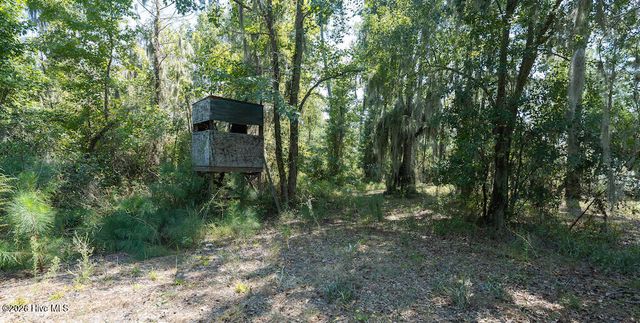 100 Hog Island, New Bern, NC 28560