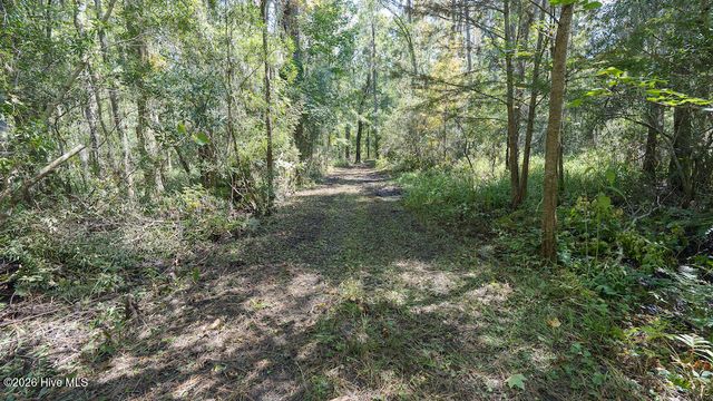 100 Hog Island, New Bern, NC 28560