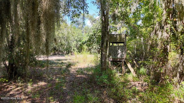 100 Hog Island, New Bern, NC 28560