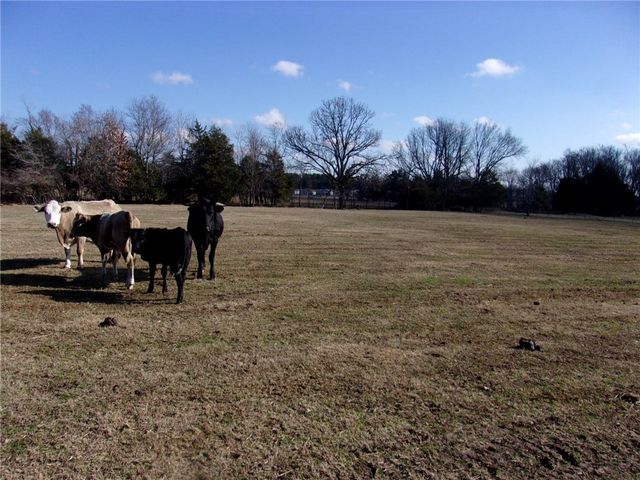 2887 Habberton Road, Springdale, AR 72764