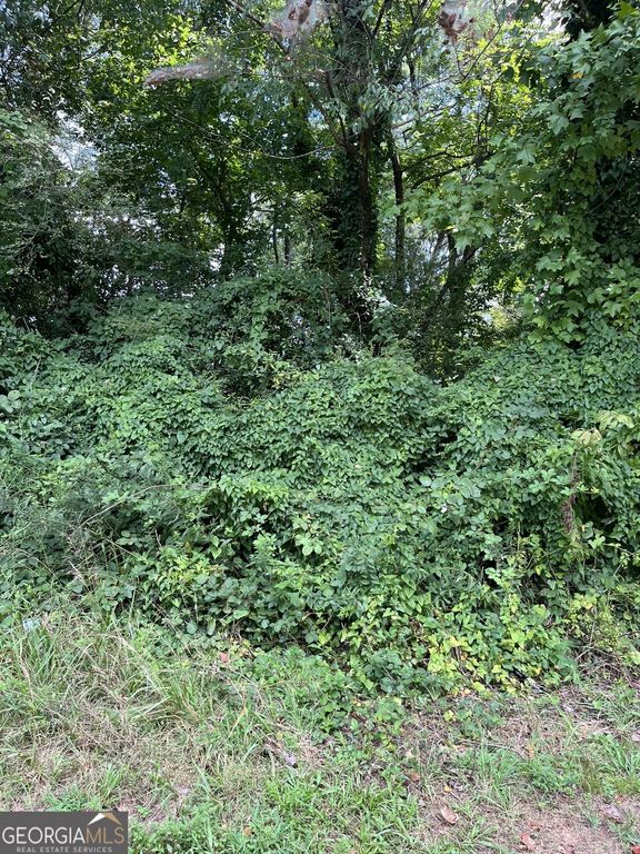 200 Canton Street, Canton, GA 30114