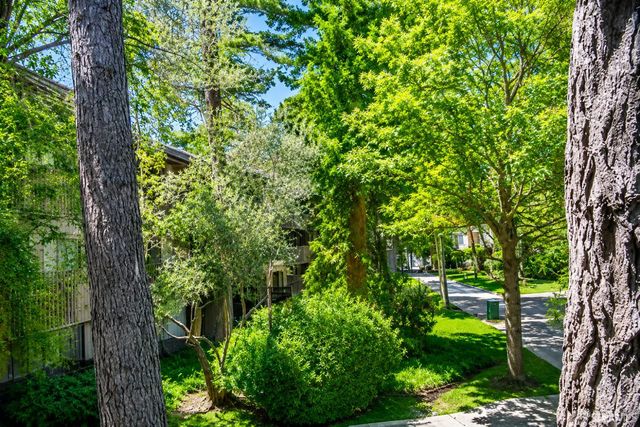 6256 shelter creek Lane, San Bruno, CA 94066