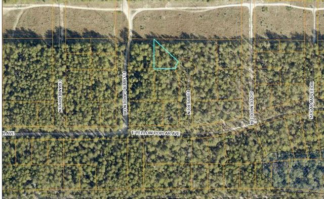 Lot 13 Flipper Lane, Defuniak Springs, FL 32433