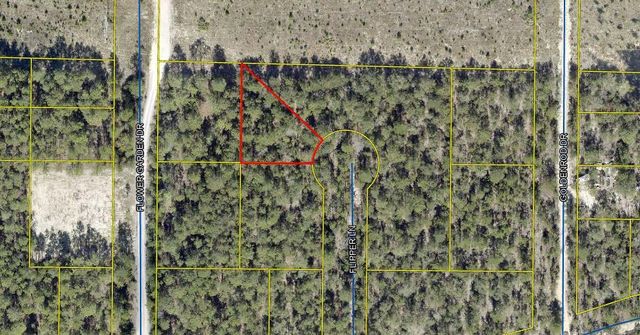 Lot 13 Flipper Lane, Defuniak Springs, FL 32433