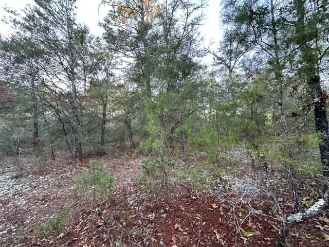 Lot 13 Flipper Lane, Defuniak Springs, FL 32433