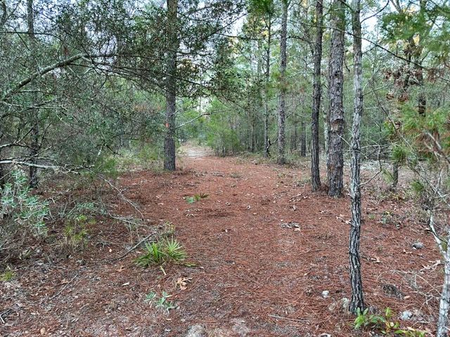 Lot 13 Flipper Lane, Defuniak Springs, FL 32433